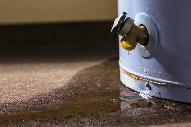 Best Flood damage cleanup  in Bothell, WA