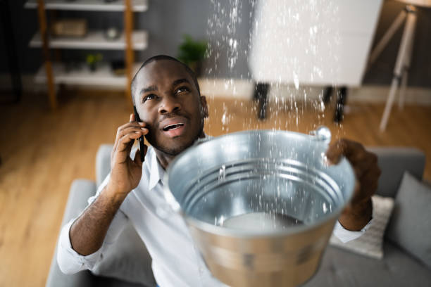 Best Water damage contractors near me  in Bothell, WA