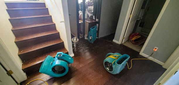 Best Water damage restoration near me  in Bothell, WA