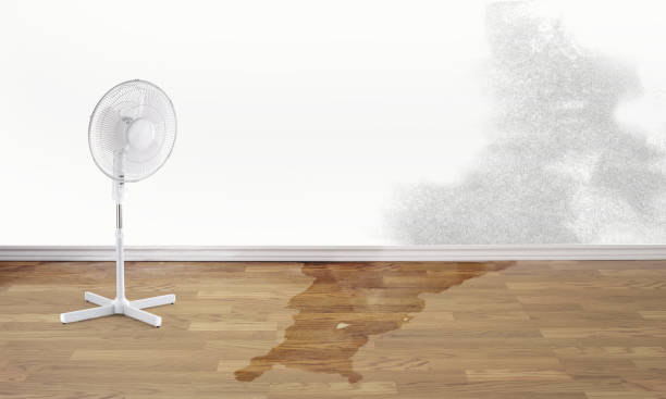 Best Flooded house restoration  in Bothell, WA