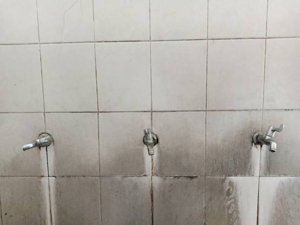 Best Residential water damage restoration  in Bothell, WA