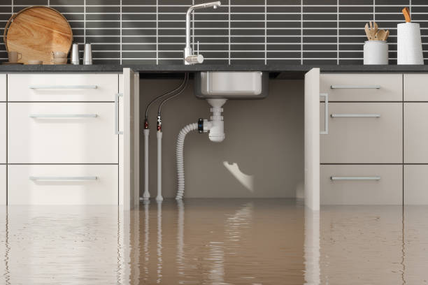 Best Basement water damage restoration  in Bothell, WA