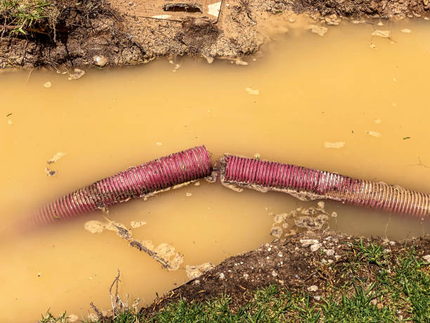 Best Water damage restoration cost  in Bothell, WA