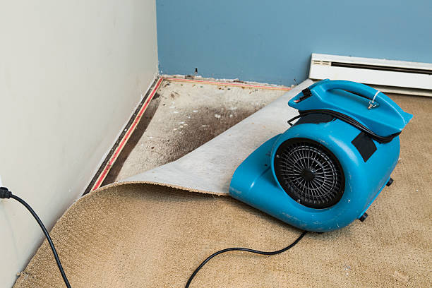 Best 24/7 water damage repair  in Bothell, WA